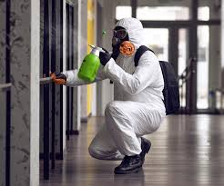 Reliable Grace, ID Mold Removal & Remediation Solutions